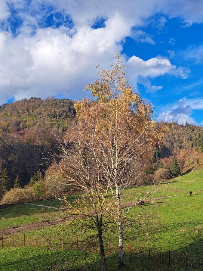 Greenriver Apartment Spodnje Gorje ภายนอก รูปภาพ