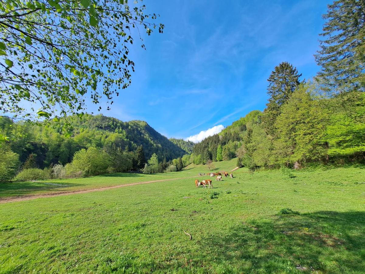 Greenriver Apartment Spodnje Gorje ภายนอก รูปภาพ