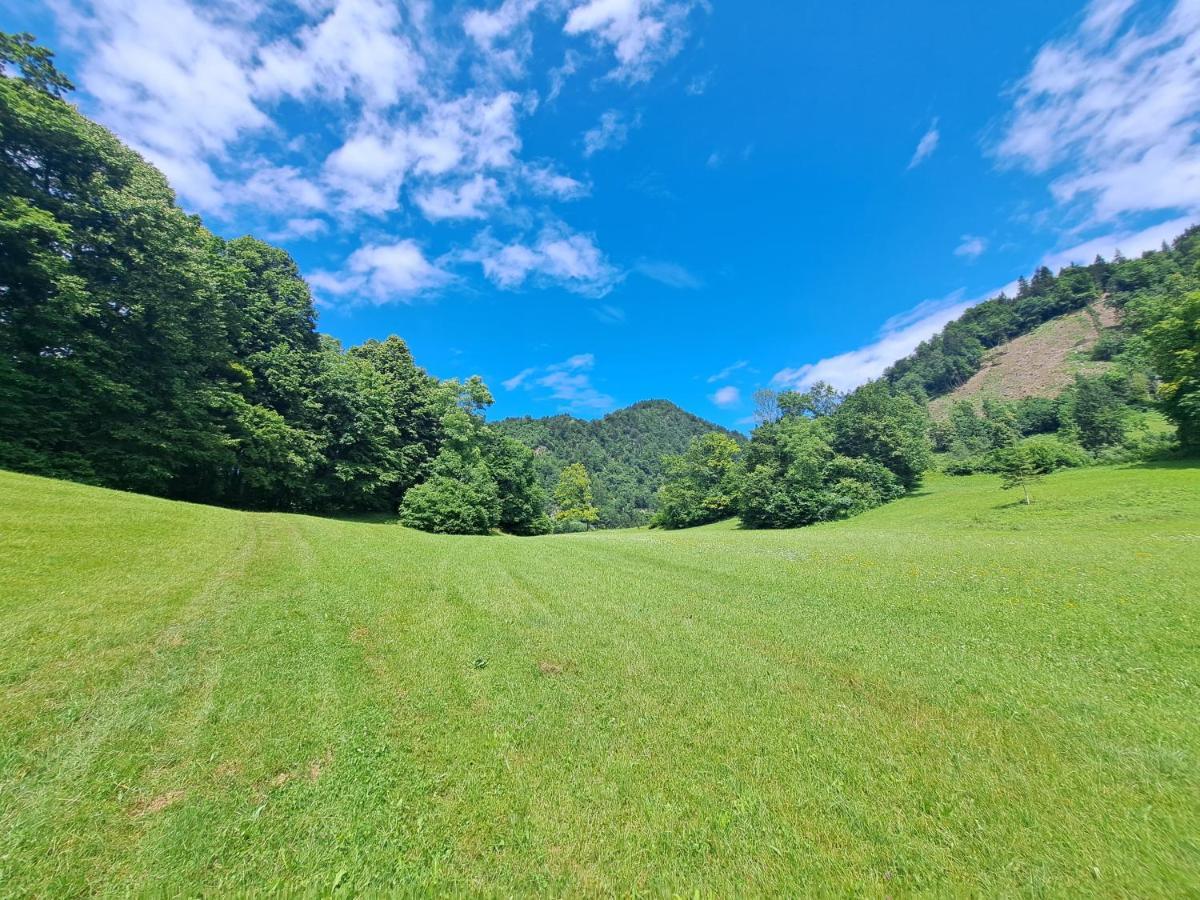 Greenriver Apartment Spodnje Gorje ภายนอก รูปภาพ
